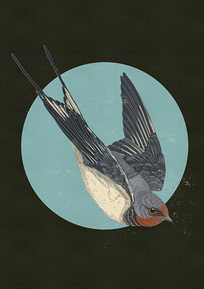 Swallow in Blue Circle art print by Nicholas for $57.95 CAD