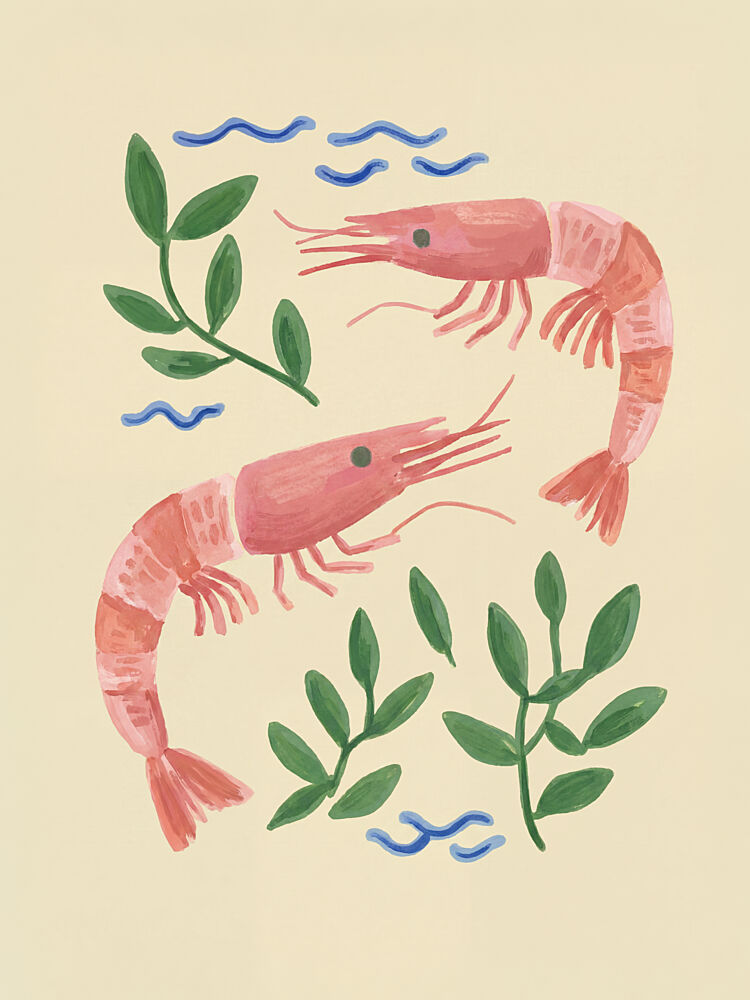 Pink Shrimp Illustration art print by Mathieu for $57.95 CAD