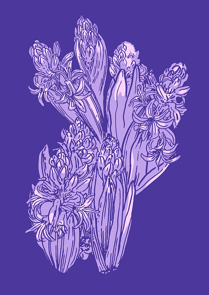 Blooming Purple Hyacinths art print by Katariina Kosunen for $57.95 CAD