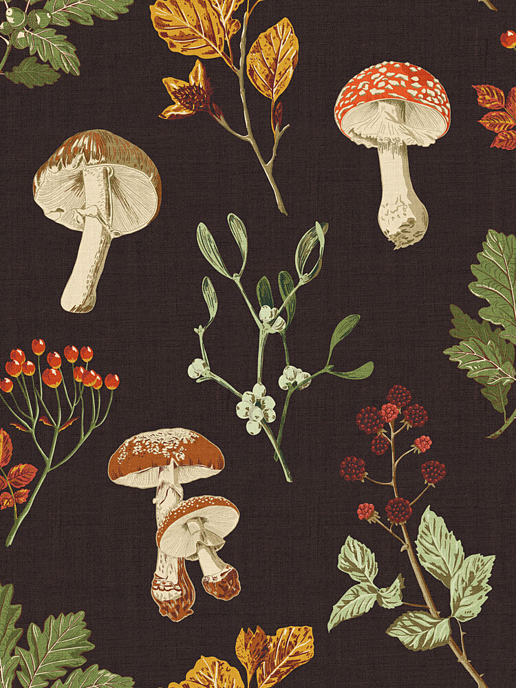 Autumn Forest Forage Illustrations art print by Alexandra Weise for $57.95 CAD