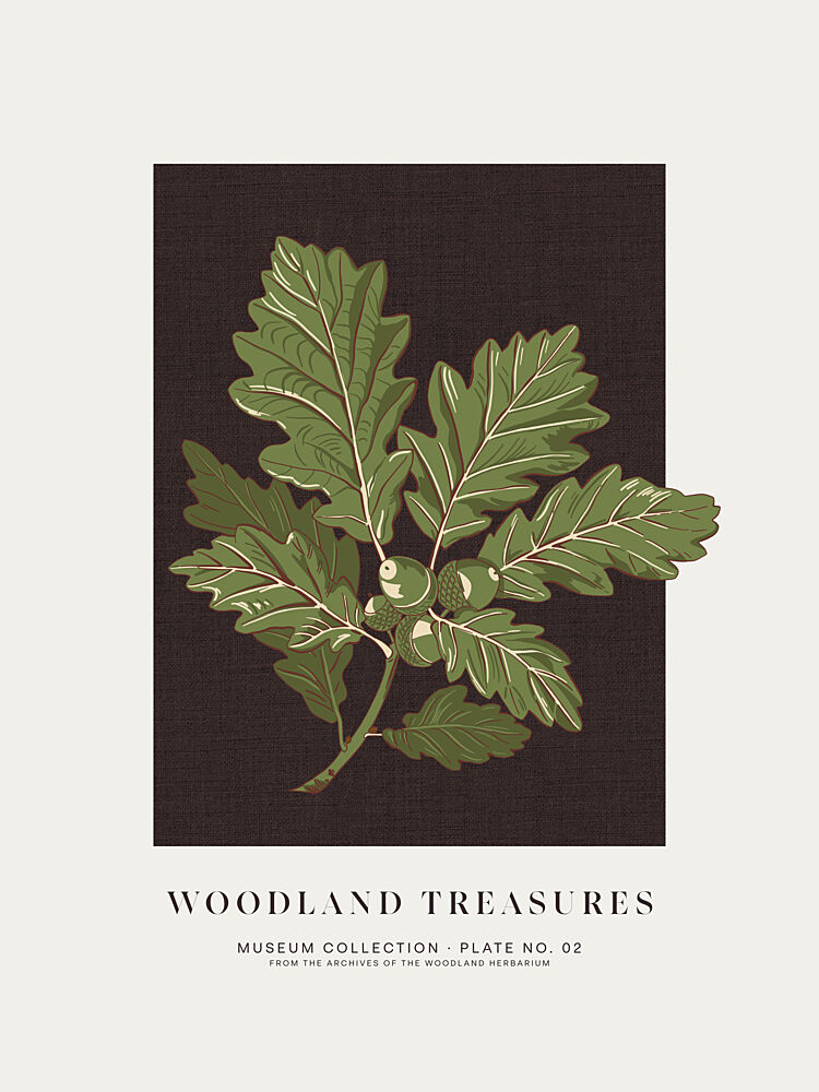 Woodland Oak Acorns art print by Alexandra Weise for $57.95 CAD