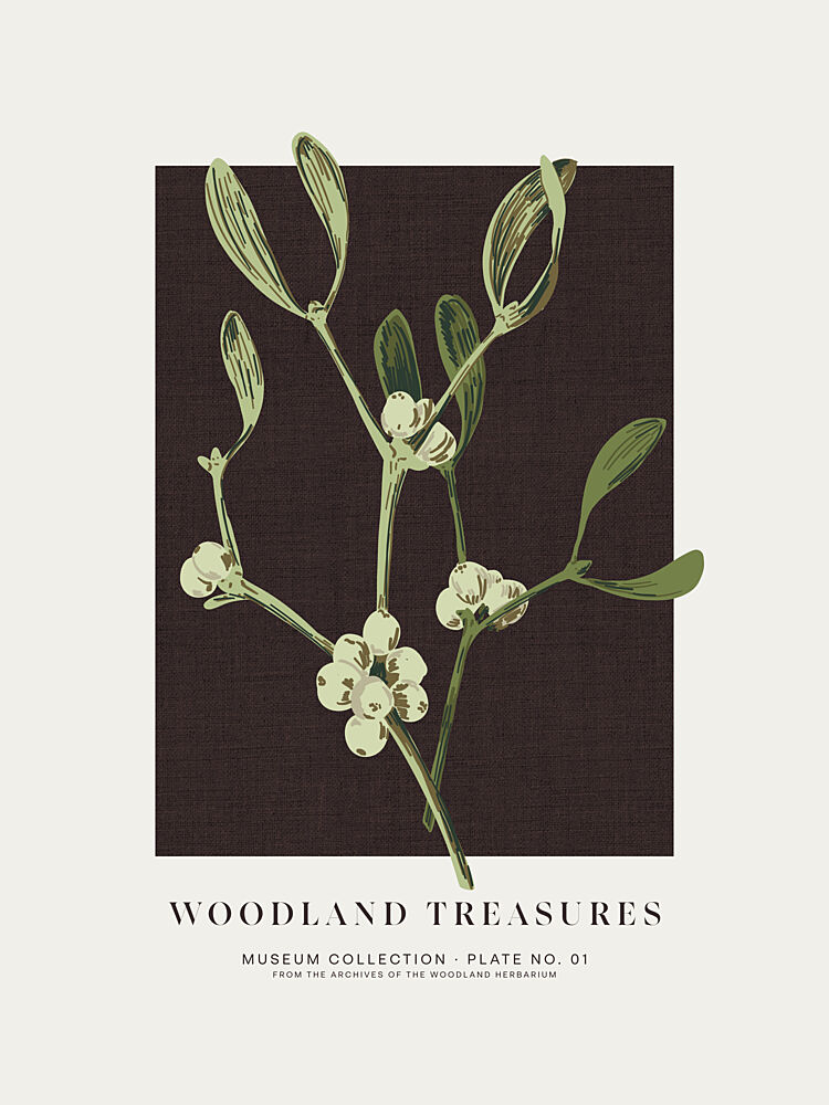 Woodland Mistletoe Study art print by Alexandra Weise for $57.95 CAD