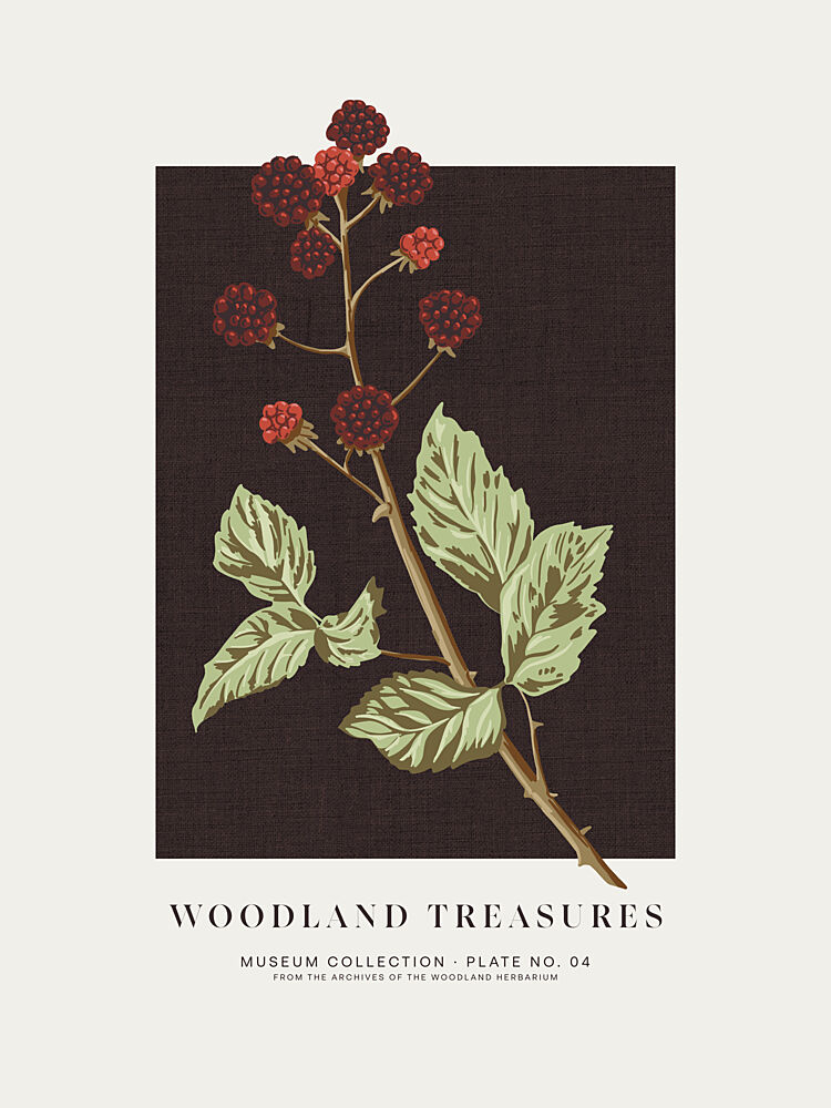 Woodland Blackberries Botanical art print by Alexandra Weise for $57.95 CAD