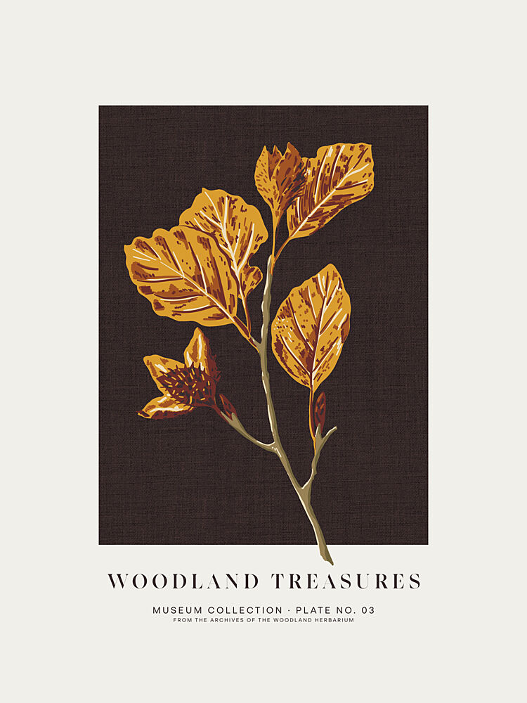 Vintage Woodland Leaves art print by Alexandra Weise for $57.95 CAD