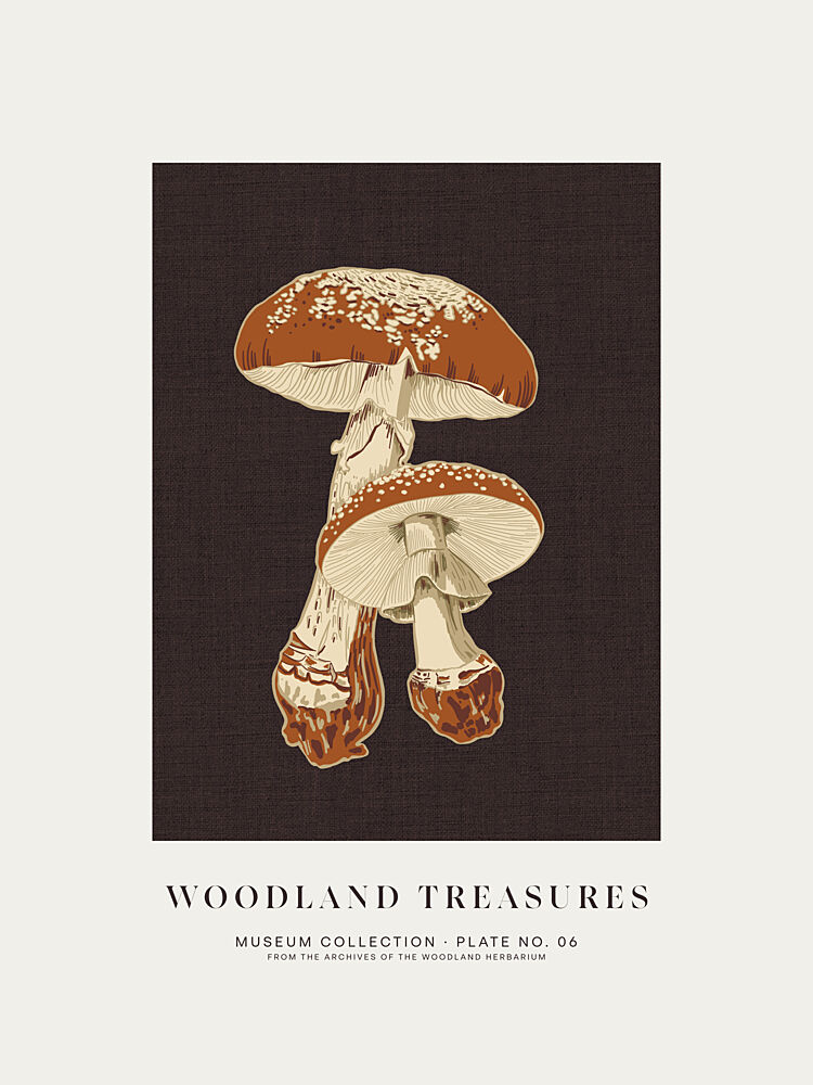 Woodland Treasures Mushrooms art print by Alexandra Weise for $57.95 CAD