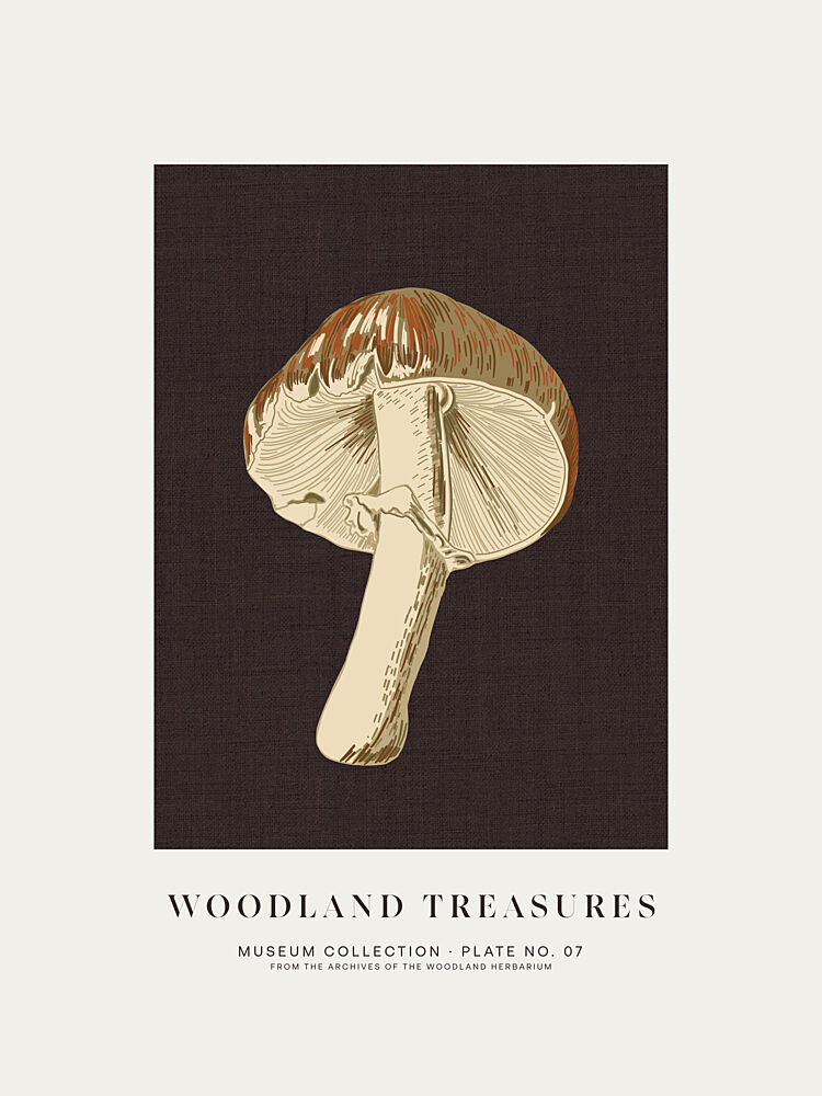 Vintage Botanical Mushroom art print by Alexandra Weise for $57.95 CAD