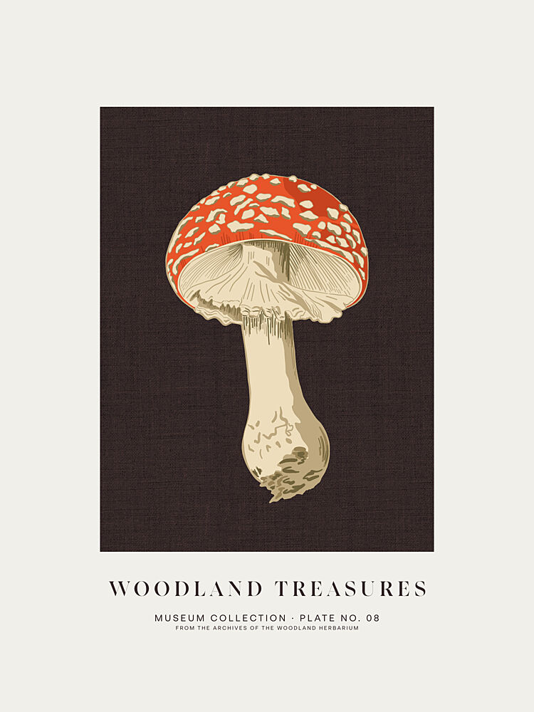 Fly Agaric Botanical Study art print by Alexandra Weise for $57.95 CAD