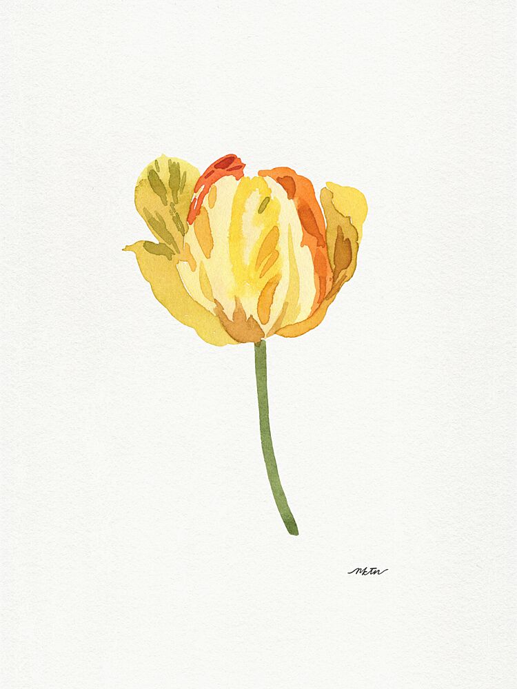 Sunny Yellow Tulip art print by Nktn for $57.95 CAD
