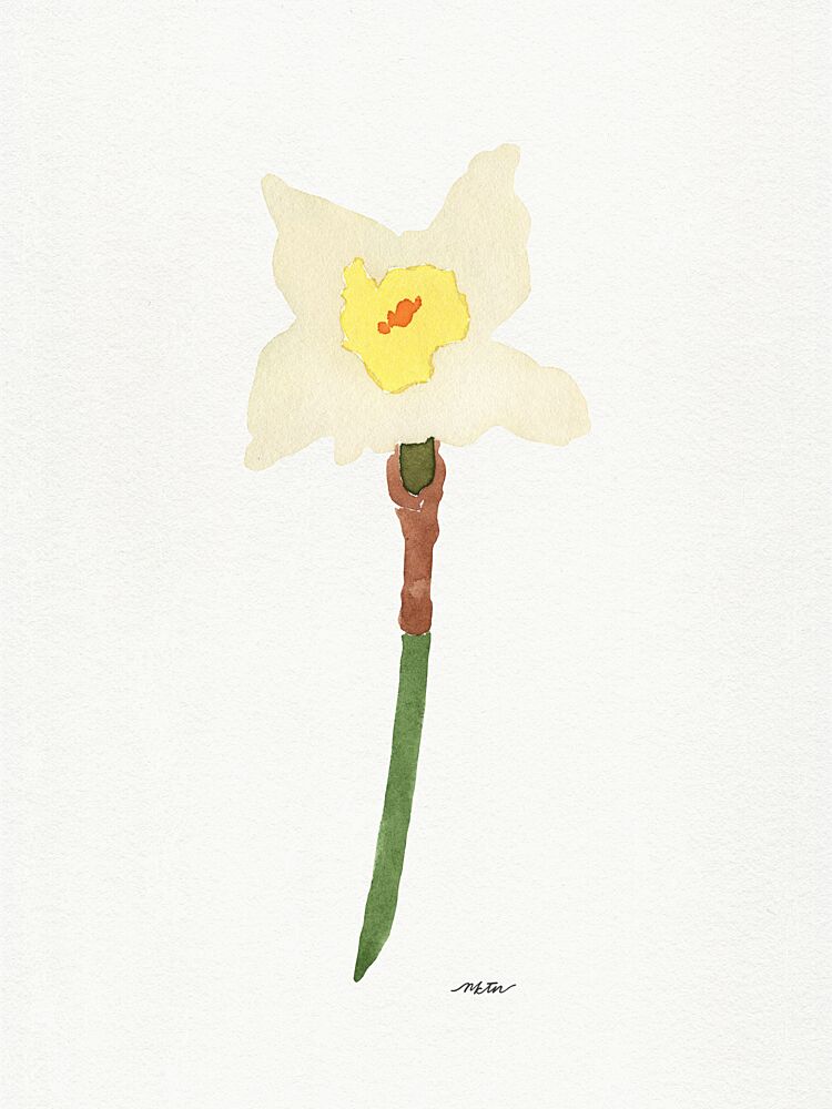 Fresh Spring Daffodil art print by Nktn for $57.95 CAD
