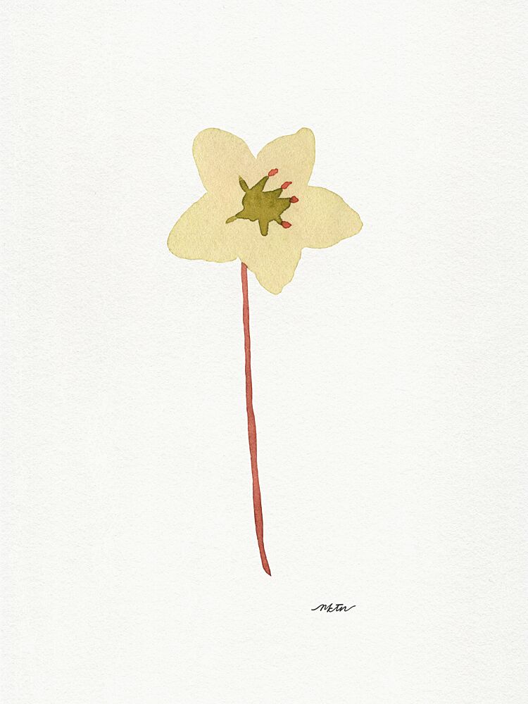 Gentle Watercolor Bloom art print by Nktn for $57.95 CAD
