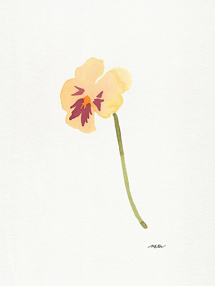 Soft Yellow Pansy art print by Nktn for $57.95 CAD
