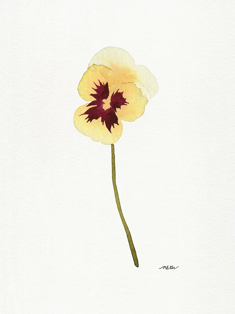 Delicate Yellow Pansy art print by Nktn for $57.95 CAD