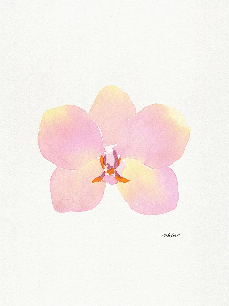 Pink Watercolor Orchid art print by Nktn for $57.95 CAD