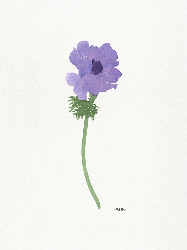 Delicate Purple Anemone art print by Nktn for $57.95 CAD