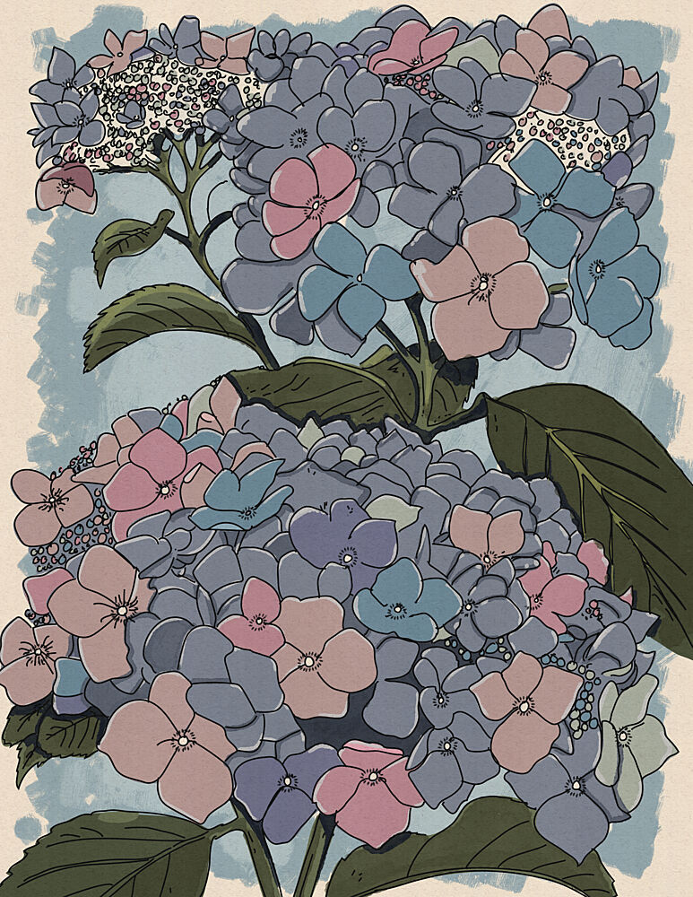 Soft Pastel Hydrangeas art print by Nicholas for $57.95 CAD