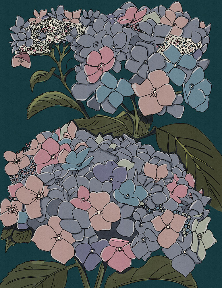 Muted Hydrangea Blooms art print by Nicholas for $57.95 CAD