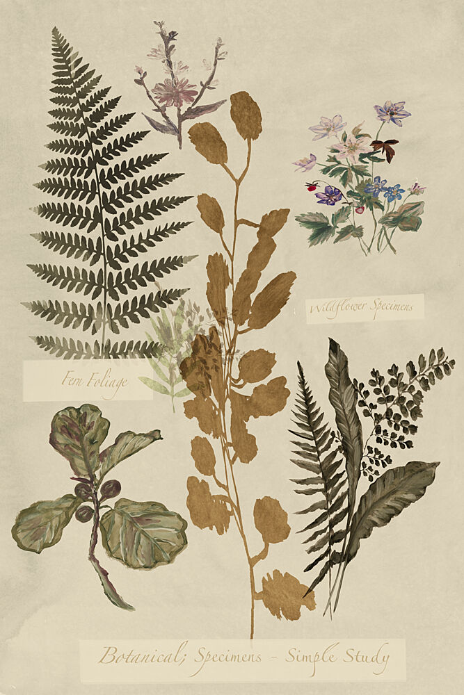 Botanical Specimens Study art print by Cartissi for $57.95 CAD