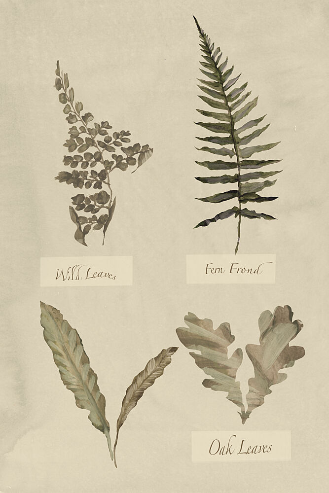 Botanical Leaf Study art print by Cartissi for $57.95 CAD