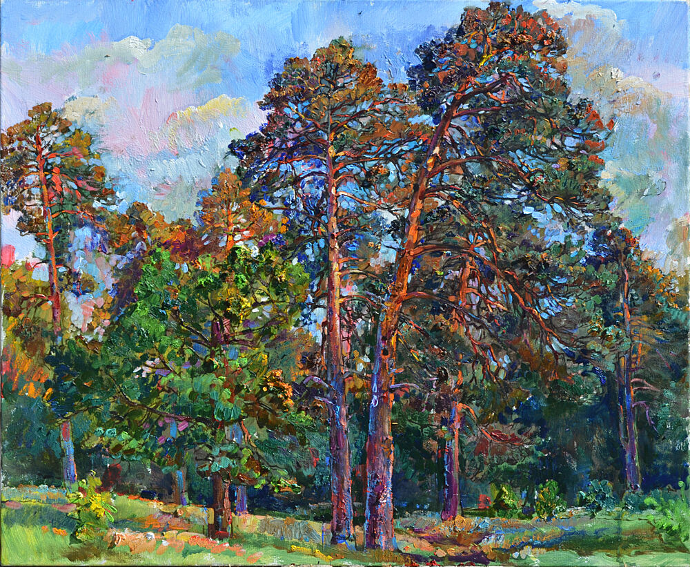 Sunlit Pine Trees art print by Andrii Kutsachenko for $57.95 CAD
