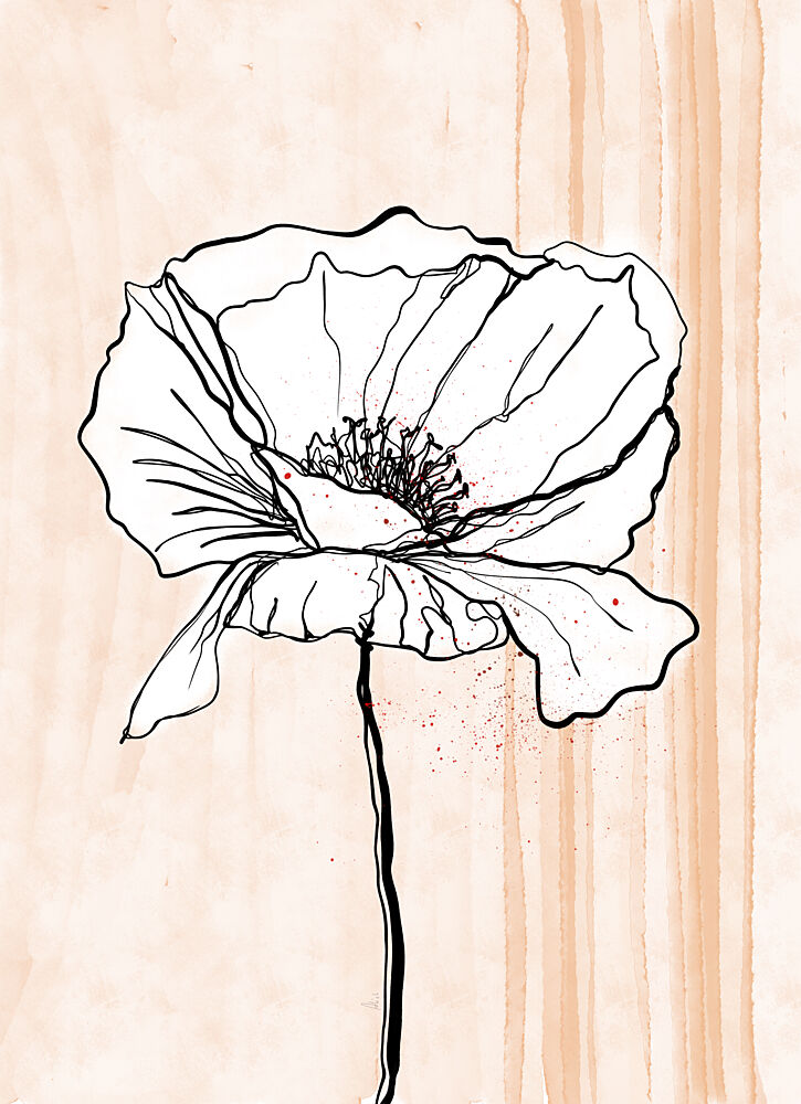 Minimalist Poppy Bloom art print by Ankie Kooi for $57.95 CAD