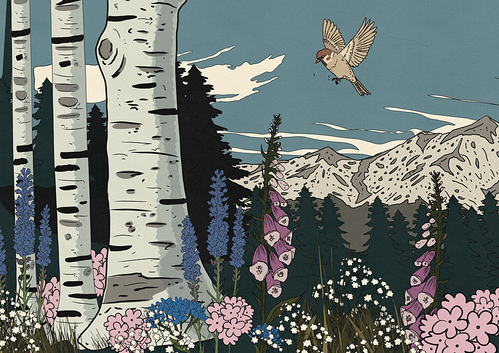 Birch Forest Mountain Bird art print by Nicholas for $57.95 CAD