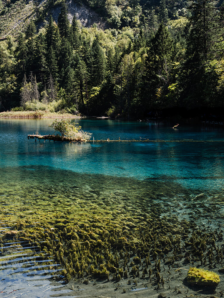Turquoise Lake Serenity art print by Photolovers for $57.95 CAD