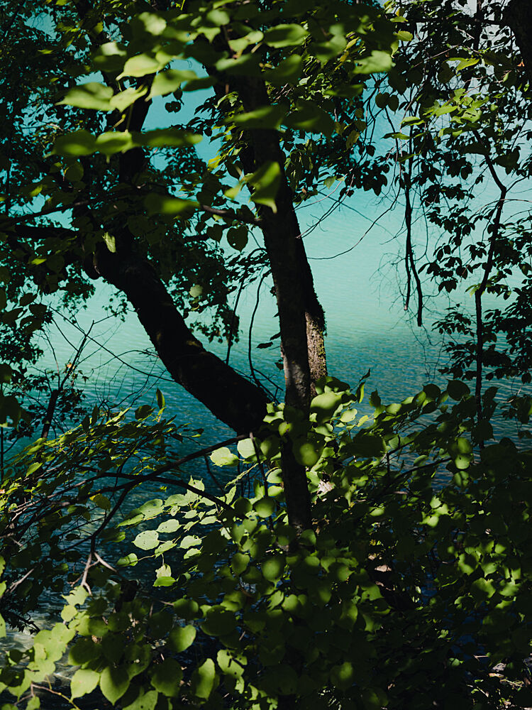 Lake in Jiuzhaigou Park in China art print by Photolovers for $57.95 CAD