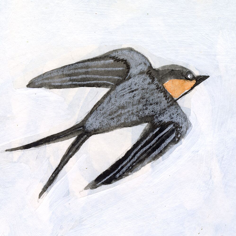 Graceful Swallow Flight art print by Sharyn Bursic for $57.95 CAD