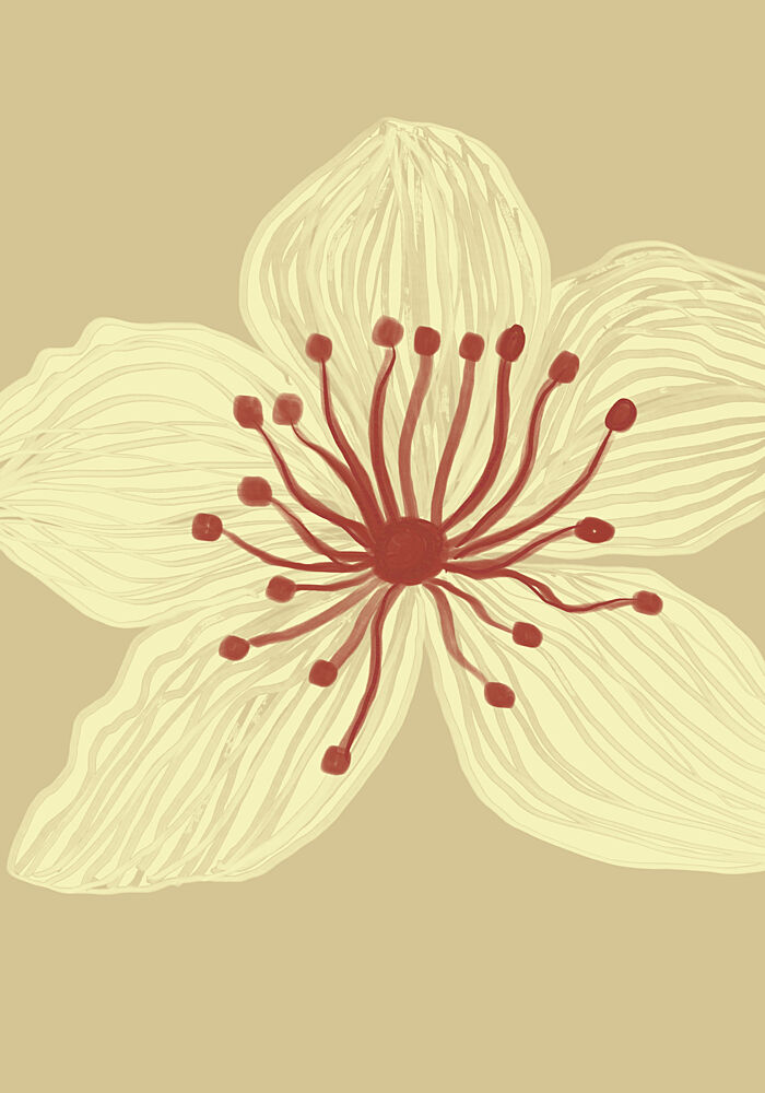 Soft Cream Blossom art print by The Art Concept for $57.95 CAD
