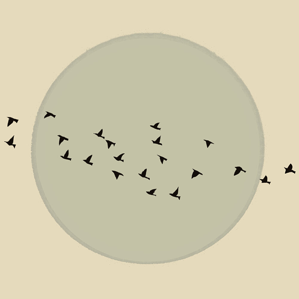 Flock Against the Moon art print by The Art Concept for $57.95 CAD