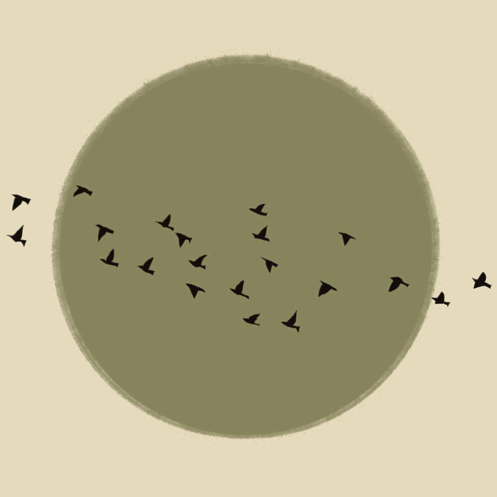Graceful Birds Soaring art print by The Art Concept for $57.95 CAD