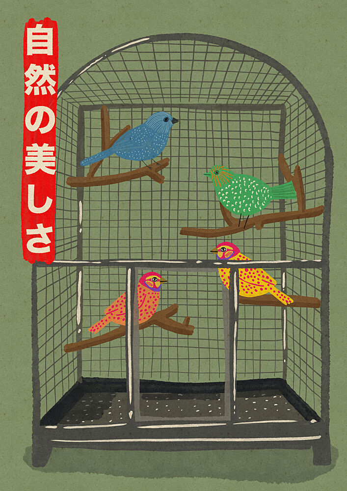 Vibrant Birds in Cage art print by Nicholas for $57.95 CAD