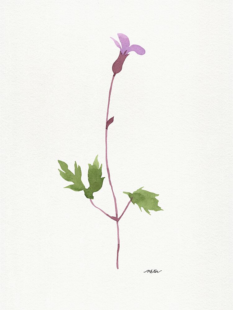 Delicate Purple Bloom art print by Nktn for $57.95 CAD