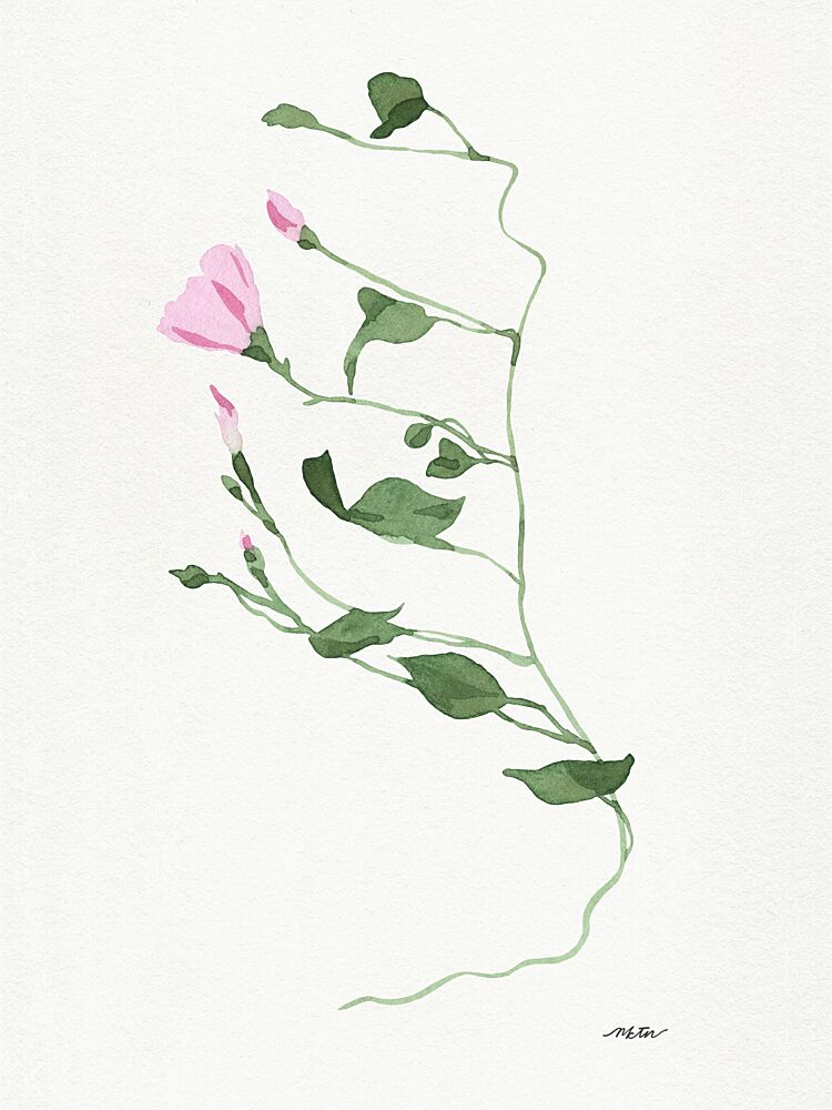 Graceful Pink Stem art print by Nktn for $57.95 CAD