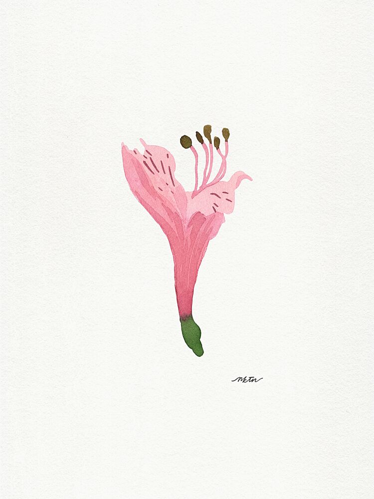 Soft Pink Blossom art print by Nktn for $57.95 CAD