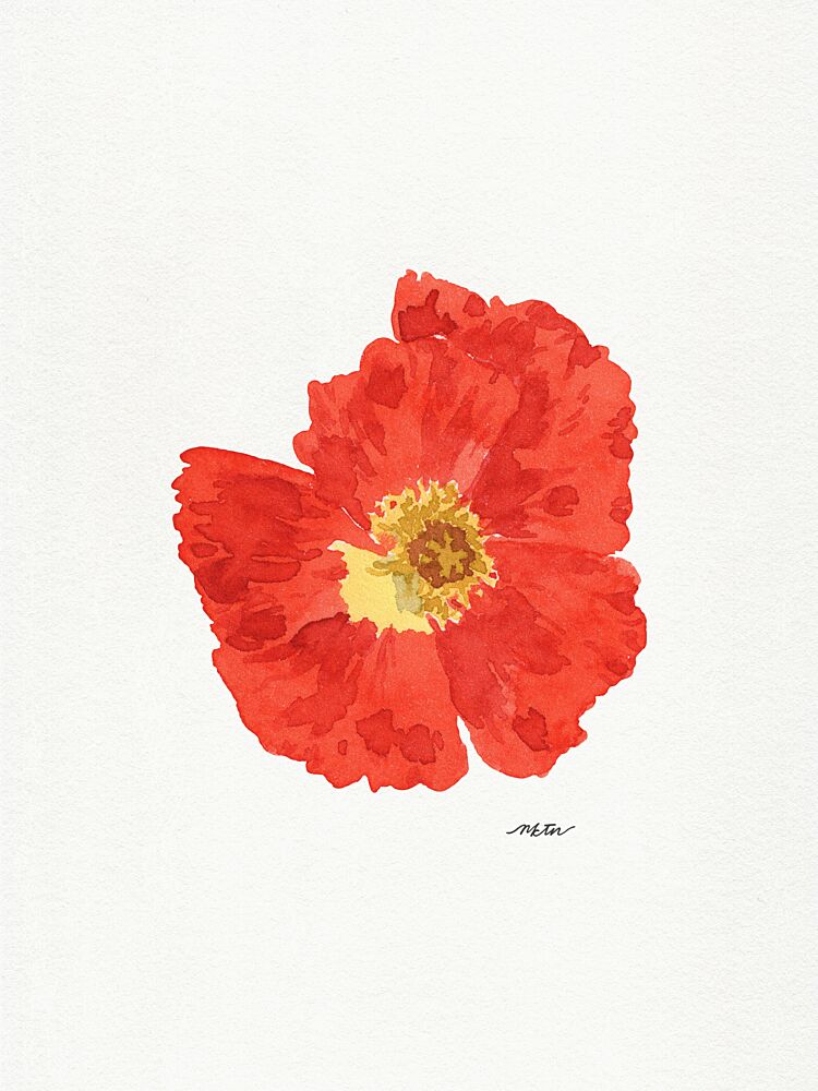 Single Red Poppy art print by Nktn for $57.95 CAD
