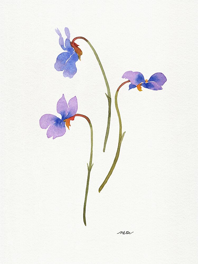 Delicate Purple Violets art print by Nktn for $57.95 CAD
