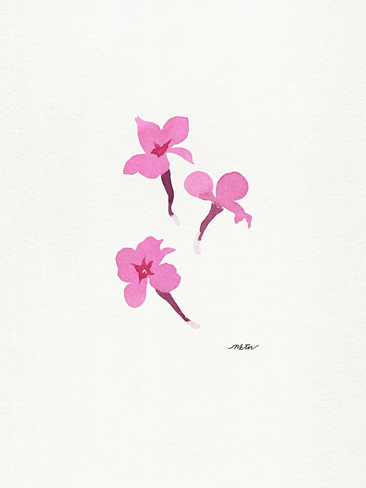 Delicate Pink Flowers art print by Nktn for $57.95 CAD