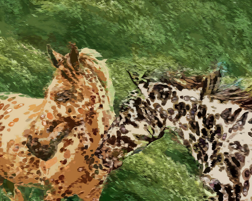 Spotted Horse Companions art print by Uma Gokhale for $57.95 CAD