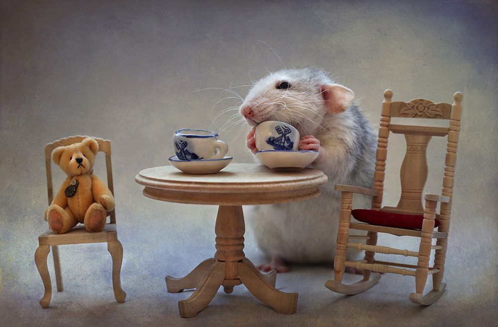 Another cup of tea art print by Ellen van Deelen for $57.95 CAD