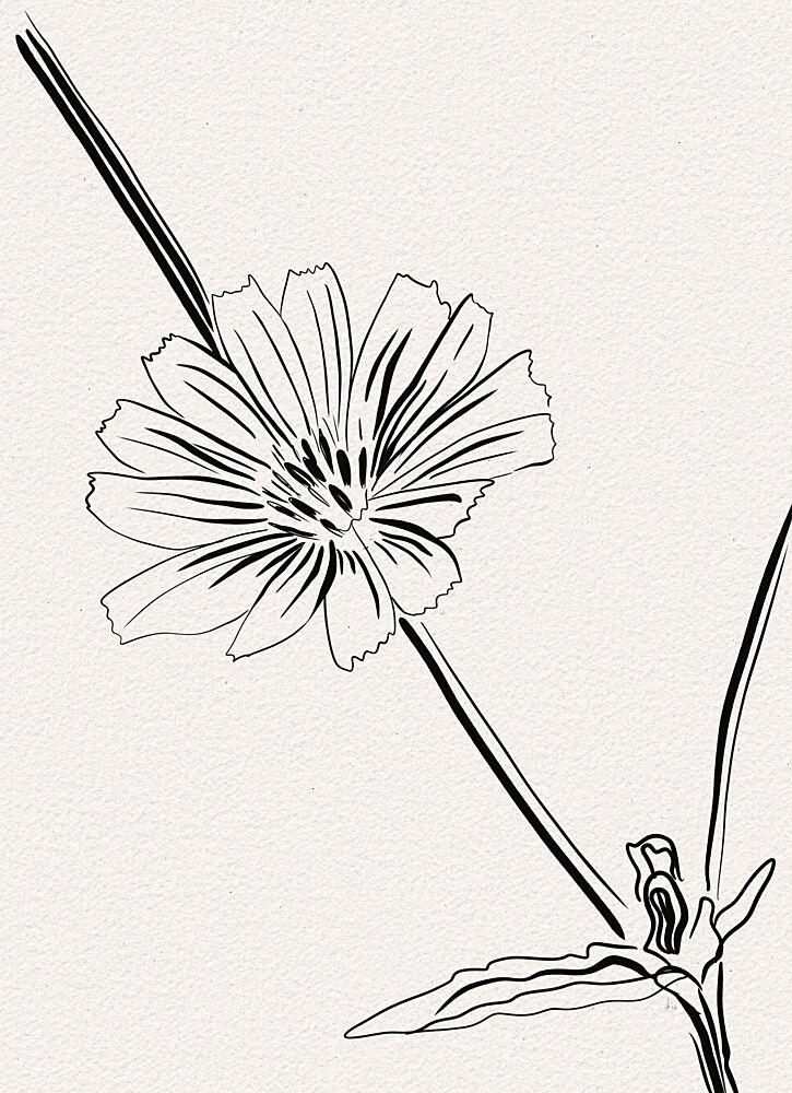 Elegant Flower Line Art art print by Ankie Kooi for $57.95 CAD