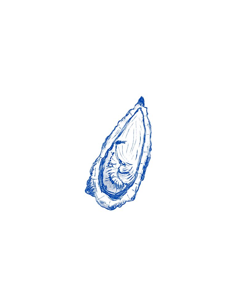 Blue Oyster Sketch art print by Donaugh Austin for $57.95 CAD