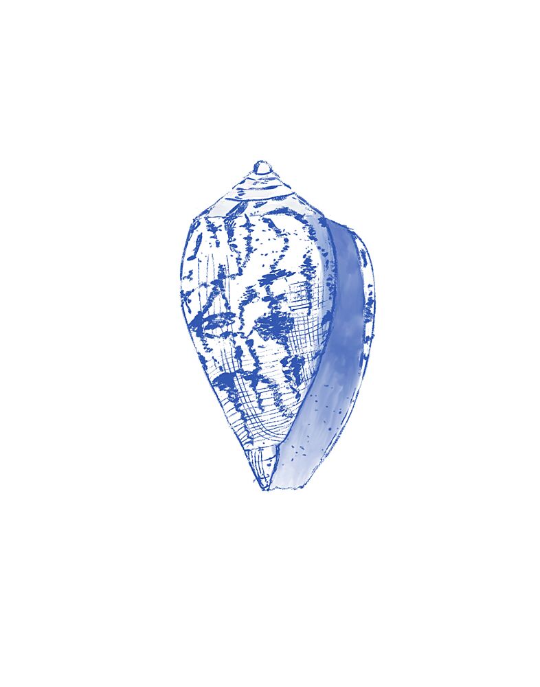 Coastal Blue Seashell art print by Donaugh Austin for $57.95 CAD