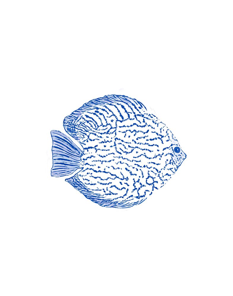 Blue Discus Fish art print by Donaugh Austin for $57.95 CAD