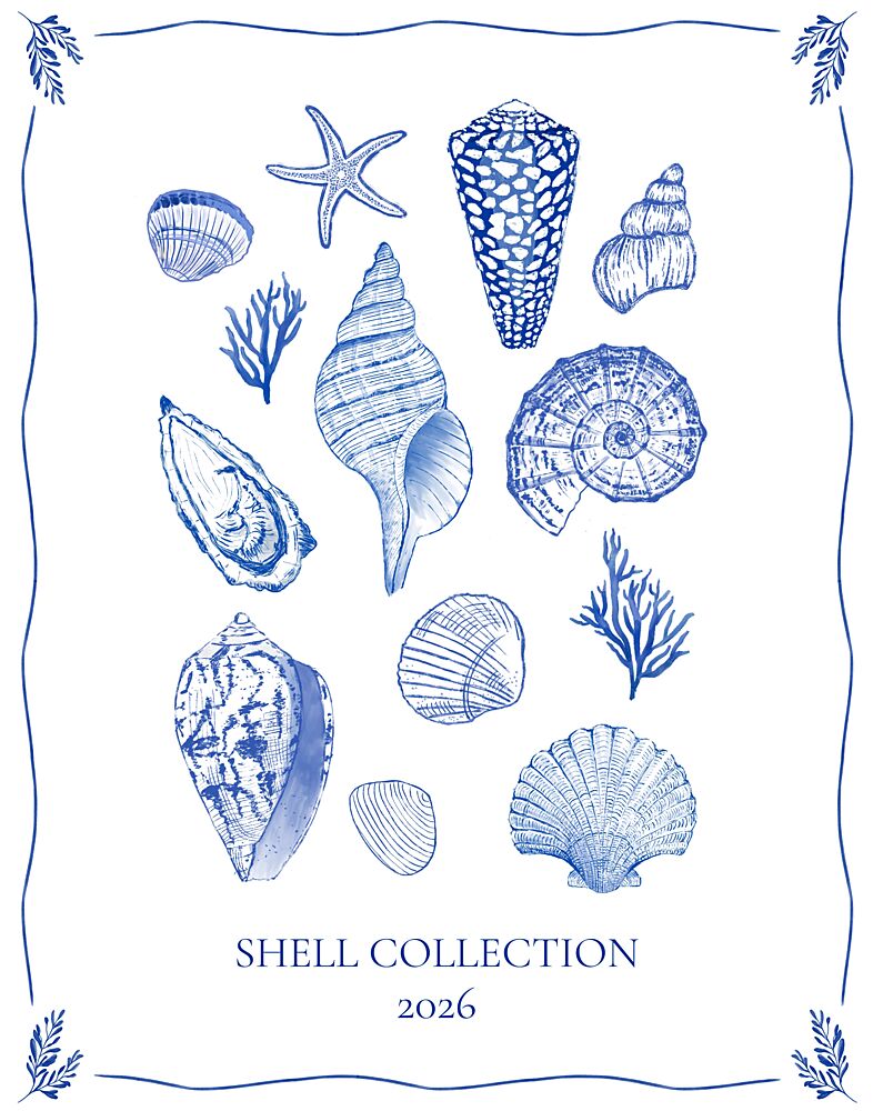 Coastal Shells Gathering art print by Donaugh Austin for $57.95 CAD