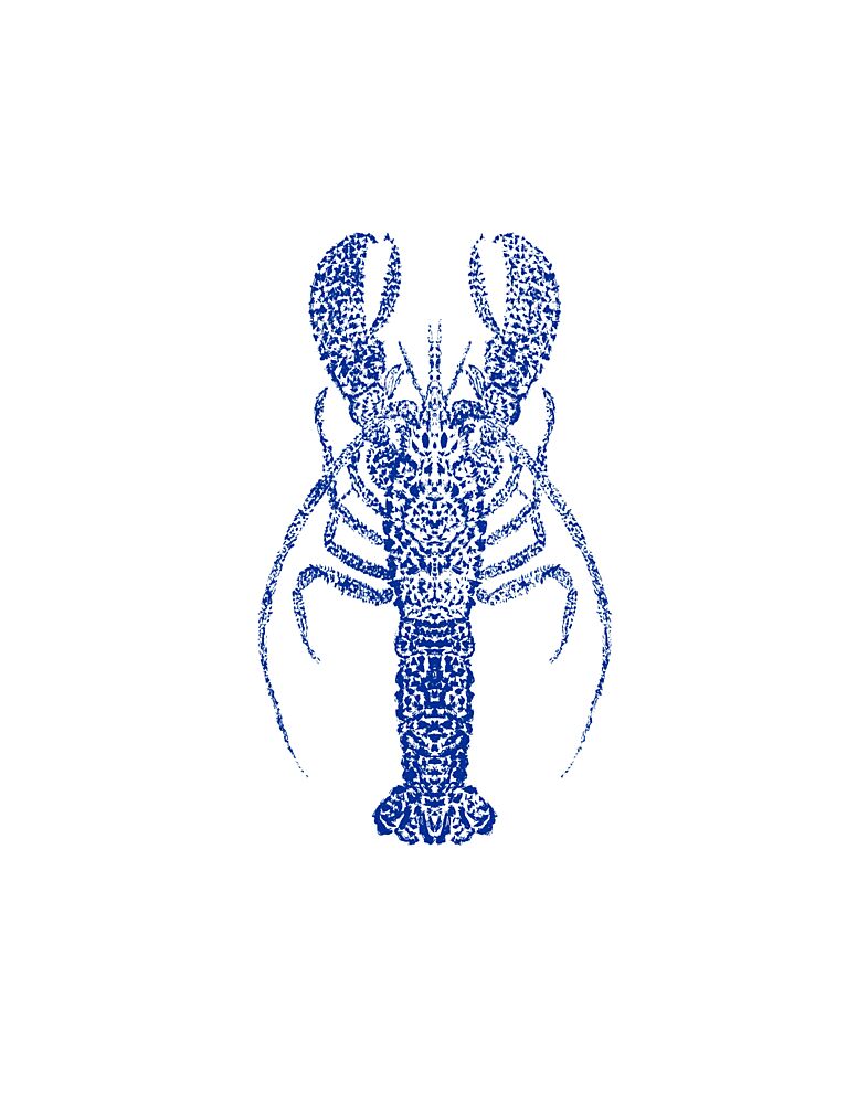 Blue Stylized Lobster art print by Donaugh Austin for $57.95 CAD