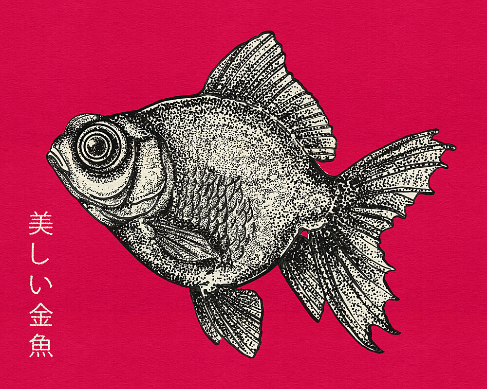 Elegant Black Goldfish art print by Nicholas for $57.95 CAD
