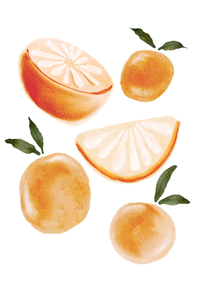 Fresh Watercolor Oranges art print by Melloi Art Prints for $57.95 CAD