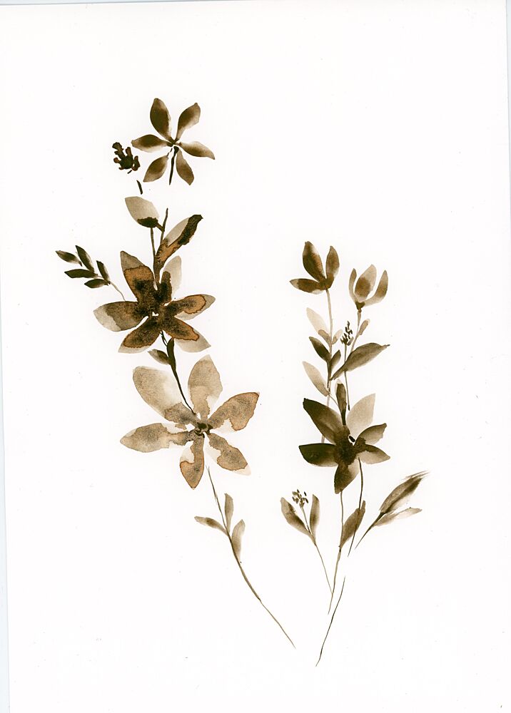 Delicate Sepia Botanicals art print by Ghazal Riyazi for $57.95 CAD