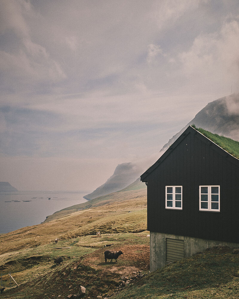 Fjordside Cabin and Sheep art print by Luca Stefanelli for $57.95 CAD
